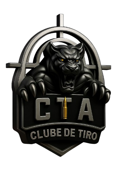 Pontual Despachantes